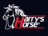 Harry's Horse
