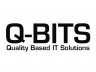 Q-BITS