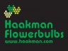 Haakman Flowerbulbs
