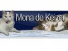 Mona de Keizer