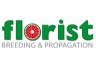 Florist Holland