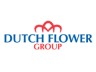 Dutch Flower Group