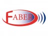 Faber Financieel Interim Management