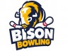 Bison Bowling Haarlem